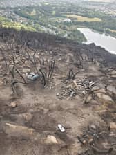 The bones were discovered by park rangers after a wildfire spread across the hill in August last year 