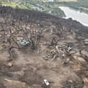 The bones were discovered by park rangers after a wildfire spread across the hill in August last year 