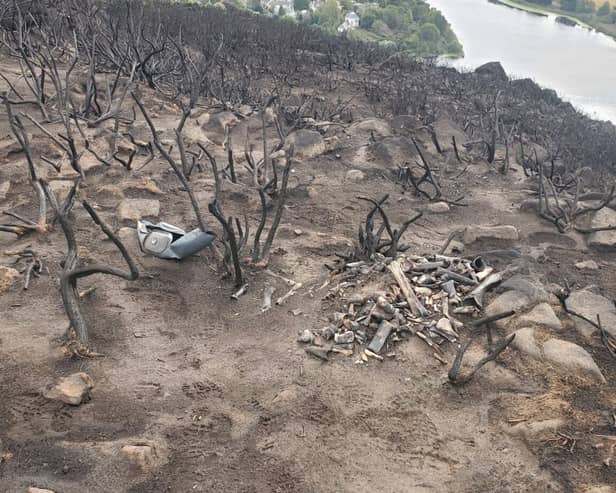The bones were discovered by park rangers after a wildfire spread across the hill in August last year 