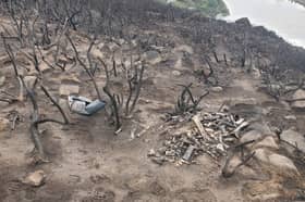 The bones were discovered by park rangers after a wildfire spread across the hill in August last year 