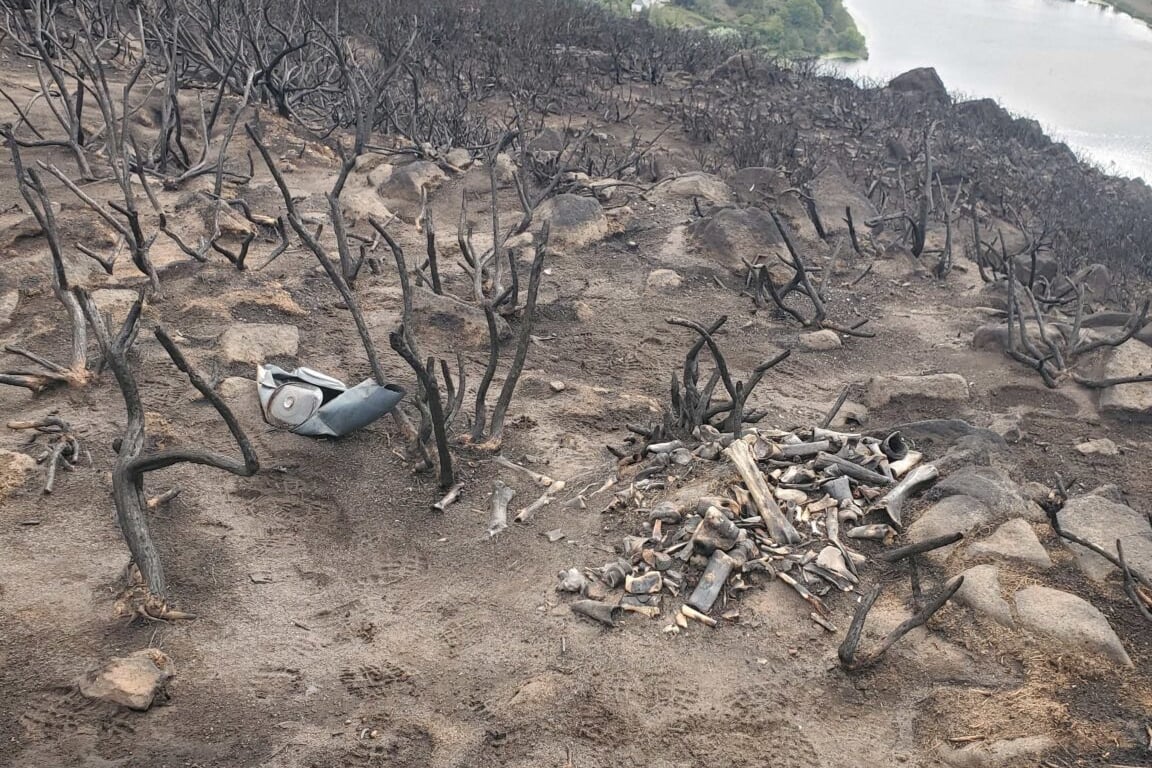 Animal bones found on Arthur's Seat prove gathered from various locations