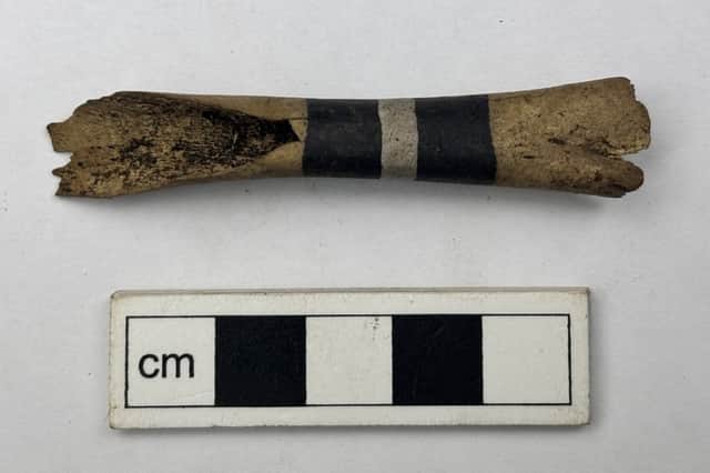 The mammal bone painted with three blocks of black and white