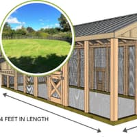 Plans submitted for new Edinburgh chicken run enclosure in Juniper Green