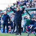 Hibernian Head Coach Marink Reedijk