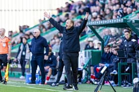Hibernian Head Coach Marink Reedijk