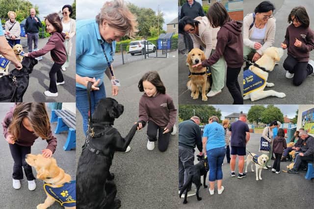 Emily and Rikke Hogg and the group enjoyed getting to know the puppies in training with Guide Dogs volunteers at the ‘Mission of Kindness’ meet-up. Maggie Shaw Guide Dogs Fundraising Coordinator and Puppy Raiser with Emily Hogg shaking paws with Owen