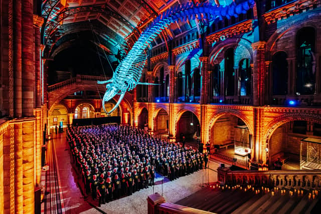 Rock Choir Sing at Natural History Museum