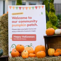 Barratt Homes opens free pumpkin patch for families at West Craigs, Edinburgh