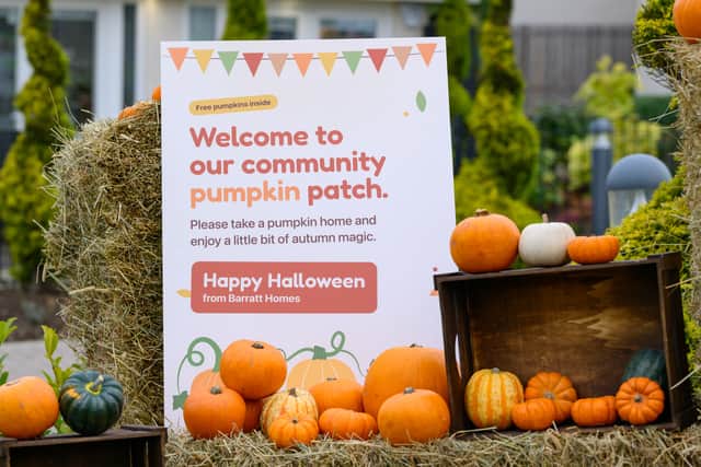Barrat Homes and David Wilson Homes, Mini Pumkin patch at West Craigs, Edinburgh, Pictured, Sales advisors Matthew Dobinson and Amanda Beveribge