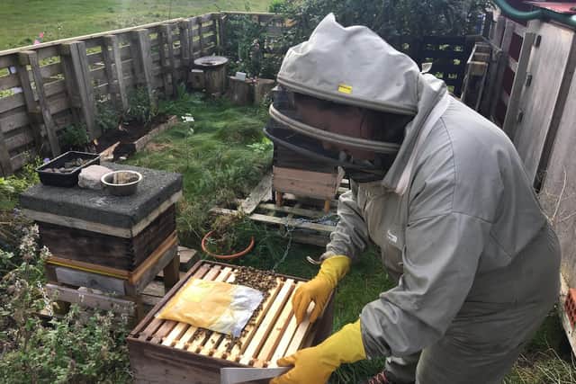 Amanda Moffet currently has four bee hives for her honey bees in Leith Links.