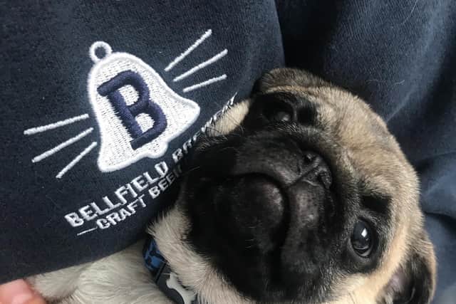 The brewery will offer prizes for the best-dressed pug.