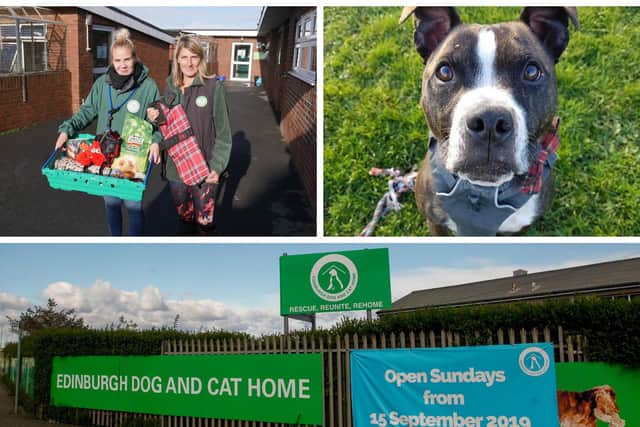 Edinburgh Dog and Cat Home launch pet foodbank TODAY - here's what they're are offering