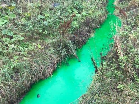 The bright green water looked like 'something out of Wizard of Oz'.