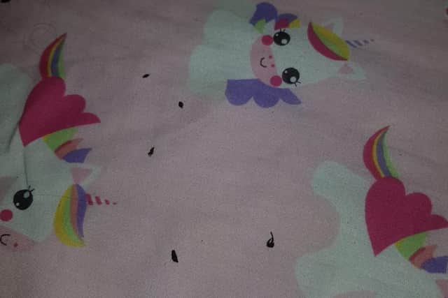 Mice droppings on their baby's bedding.