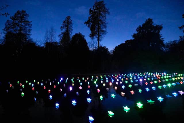 Spectacular installations will dazzle at the Botanics