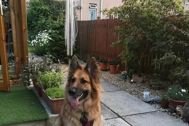 Skye has been missing since Sunday