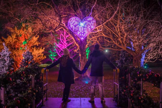 Hold hands and light up this heart at Christmas At The Botanics. Photo by Phil Wilkinson