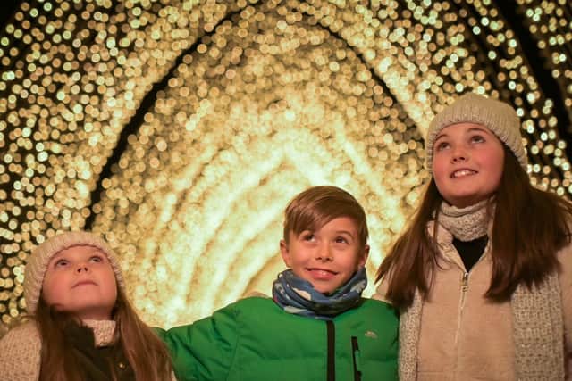 Prayers answered as the Cathedral Of Light returns to Edinburgh's Christmas At The Botanics. Photo by Phil Wilkinson