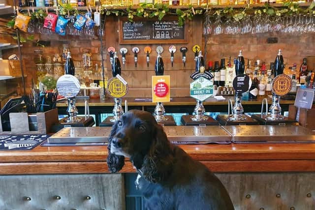 Skye posing at the bar in Monty's. Pic: James MacDougall.