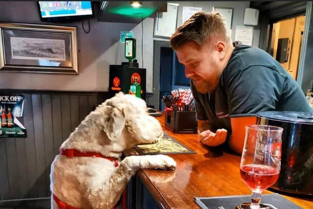 Big Theo up at the bar in Luckies. Pic: James Drysdale.