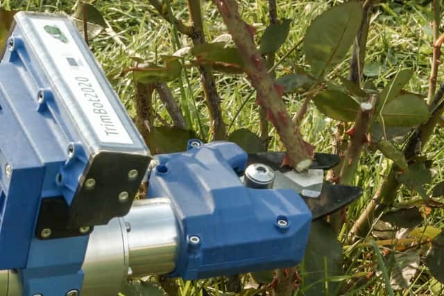 Meet Trimbot, the automated gardening robot (Photo: The University of Edinburgh)