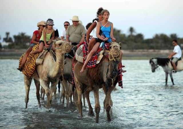 There are good reasons to pick the lead camel when going for a ride (Picture: Fethi Belaid/AFP via Getty Images)