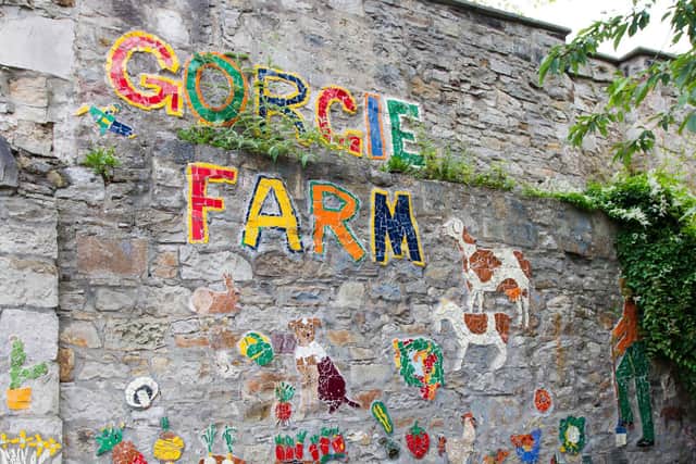 Gorgie City Farm has gone into liquidation.