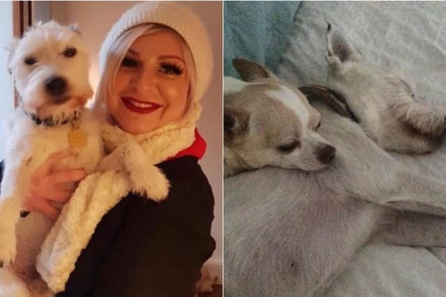 Tracy Ann Campbell said she feared for the lives of her dogs, Robbie and Pork Pie, after they suffered seizures and were foaming at the mouth following the walk on Saturday afternoon.