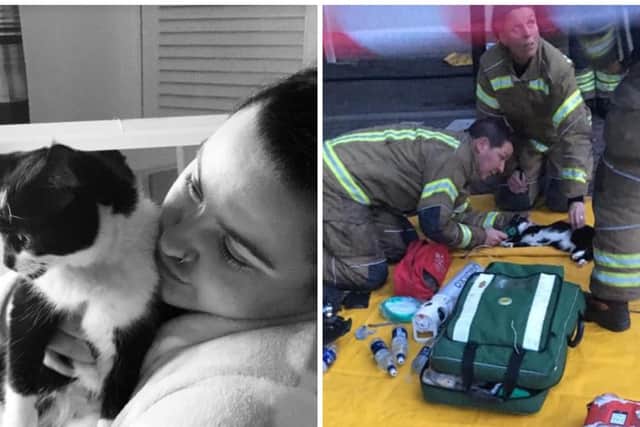 Firefighters braved the flames to rescue the unconscious creature before using special equipment donated by Smokey Paws to administer oxygen to half an hour
