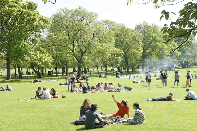 Residents enjoy the tree-lined green spaces of the Meadows. Picture: Greg Macvean