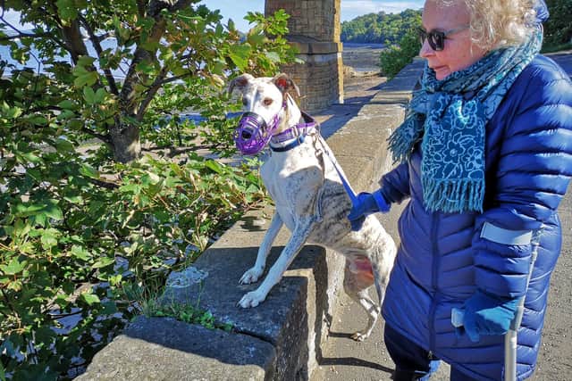 Stevie with his owner Rosemary Veitch in South Queensferry.