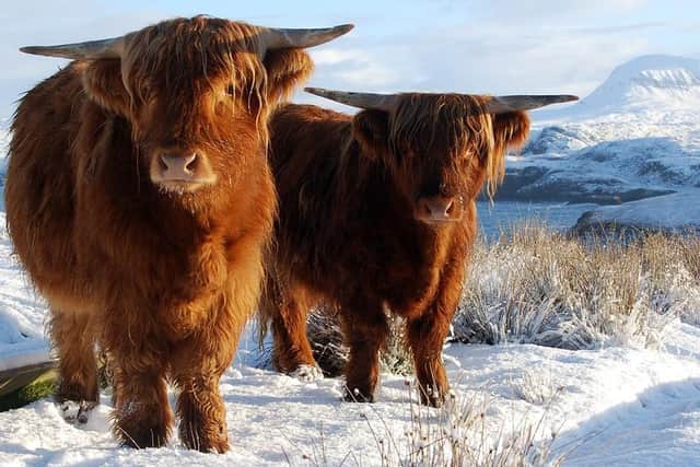 Scotland's higher plains have already had their first snowfall of 2020. Picture: Shutterstock