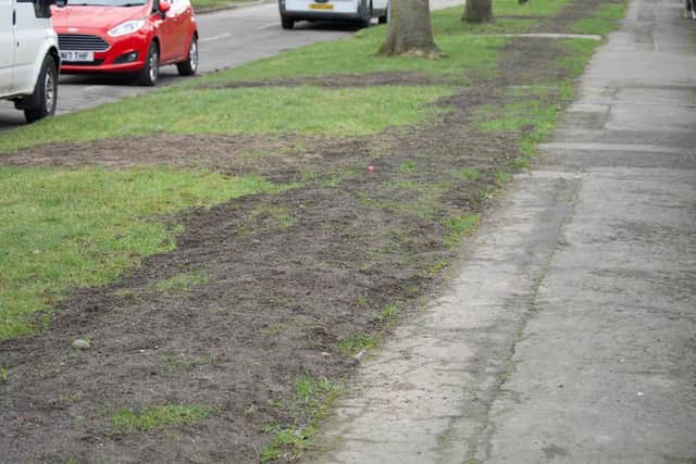 Local Councillor Mark Brown has been extremely concerned about the damage caused to residential grass banks in his ward.