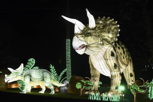 The Giant Lanterns event has been cancelled tomorrow. Picture: Lisa Ferguson/TSPL