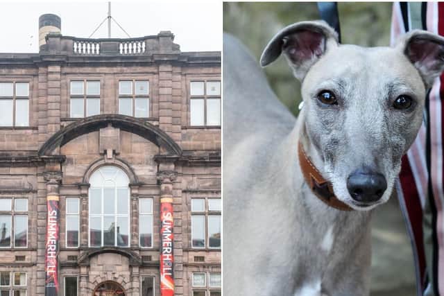 The dog-friendly event will take place at Summerhall in March  picture: JPI Media