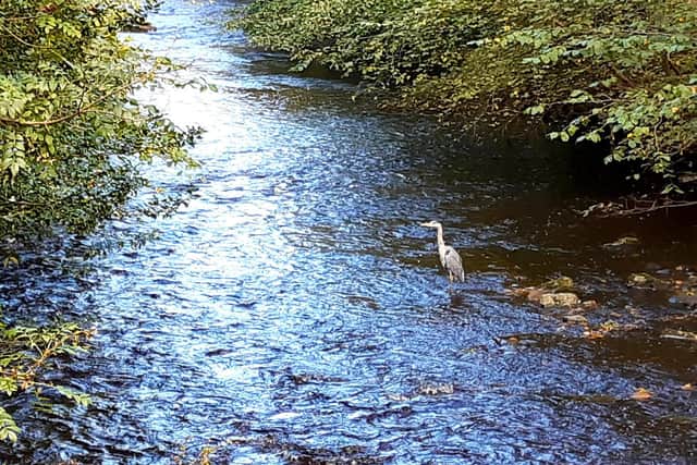 The Water of Leith flows for 24 miles, from its source in the Pentland Hills to its outflow in the Firth of Forth at Leith