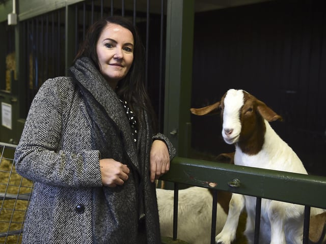 CEO Lynn Bell joins staff, volunteers and some furry friends for preparations at Love Gorgie before the grand opening.