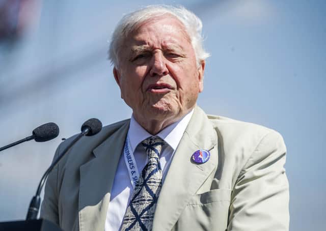 BBC stalwart David Attenborough helped put plastic pollution at the top of the agenda (Picture: Peter Byrne/PA Wire)