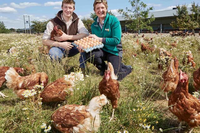 Morrisons to sell only free-range eggs   picture: supplied