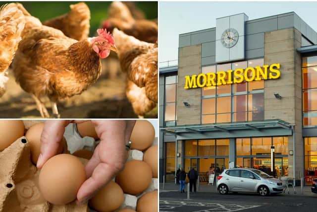Morrisons put all their eggs in the free-range basket    picture: JPI Media