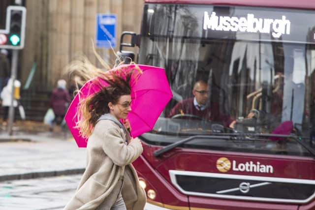 Wind is set to hit Edinburgh this weekend (Pic: SWNS)