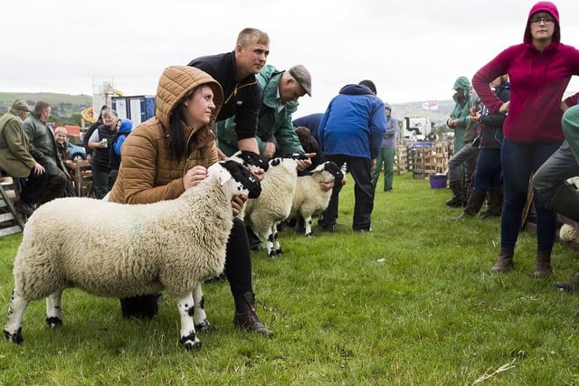 As the 2020 event was cancelled, Halifax Agricultural Show is hoping to be back with a bang in 2021. The event is set to take place on the second Saturday in August.