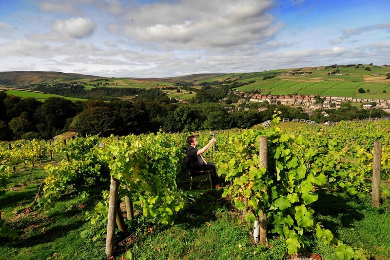 Set in seven acres of land, and with incredible panoramic views of West Yorkshire, Holmfirth Vineyard is a picturesque place for a wedding. The wine should be good, too.