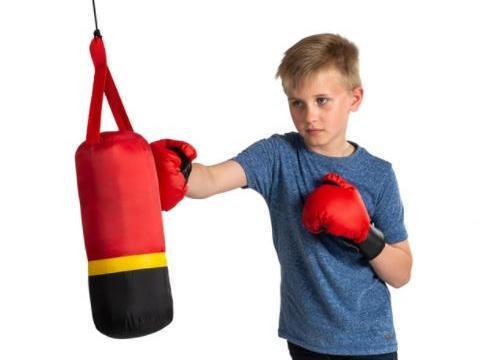 Includes a 13.5cm hanging punching bag with 6oz boxing gloves - £10