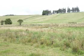 The Fast and the Furriest's controversial dog-walking site near Peebles, south-west of Milkieston Toll House.