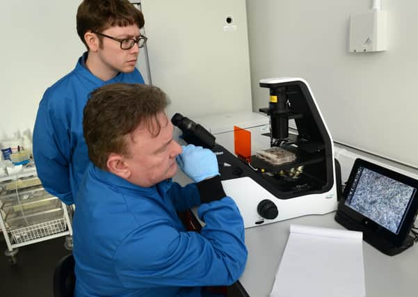 Dr Ryan Taylor (standing) and Dr Joe Mee working in the Roslin Tech Laboratory.