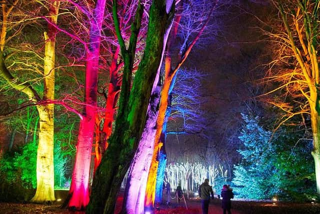 Tickets now on sale and expected to sell fast for the mile-long outdoor light-trail spectacular