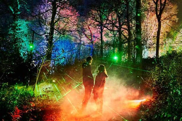 Festive favourites include the state-of-the-art Laser Garden
