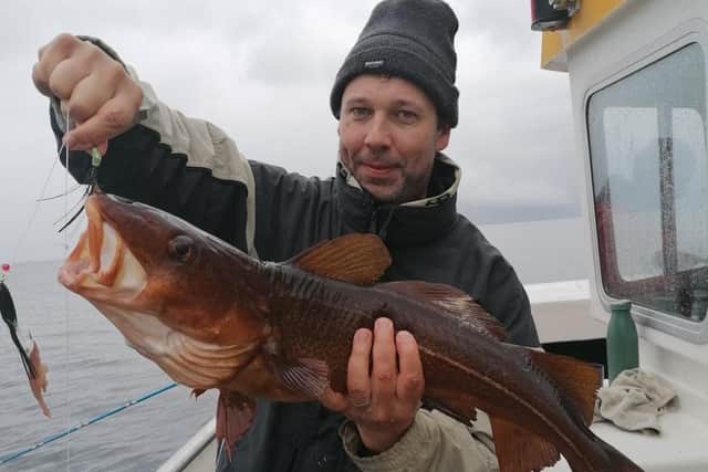 A 6lb rock cod caught on an Aquamarine Charters trip out of Eyemouth this week