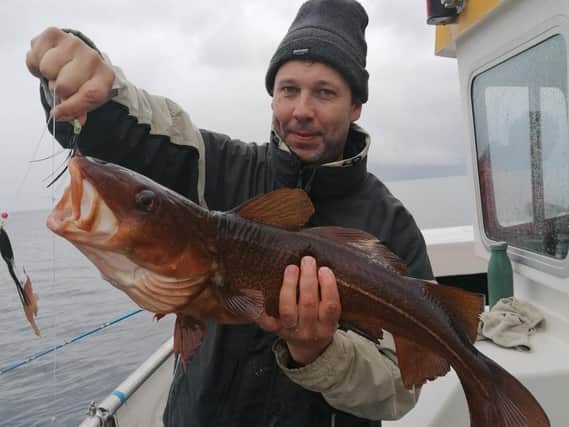 A 6lb rock cod caught on an Aquamarine Charters trip out of Eyemouth this week